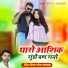 Vimal Meena Satwara