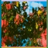Matoma