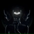ECHO COLLECTOR