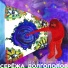 Серёжа Долгополов