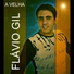 Flávio Gil