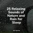Winds and Oceans, Native American Flute, Lluvia