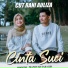 Cut Rani Auliza