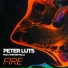 Peter Luts feat. Hunter Falls