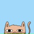Hazen Cantor, Chill Kitten