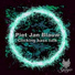 Piet Jan Blauw