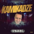 Vexel
