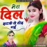 Devi Shankar Saini