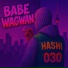 Hashi030