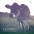 The Rurals