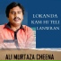 Ali Murtaza Cheena