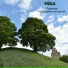 Psila