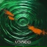 UDACCI