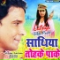 Udit Narayan, Deepa Narayan