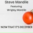 Steve Mandile feat. Wrigley Mandile