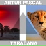 Artur Pascal