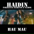 Haidin