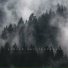Peter Ries, Violin Sky