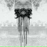 Xasthur