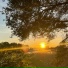 Grayskies