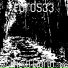 Ford533
