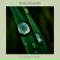 Rain Sounds