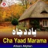 Ahsan Afghan