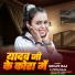 Shilpi Raj, Vipin Raja
