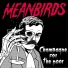 Meanbirds