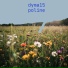 dyma15