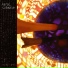 Animal Collective