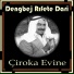 Dengbej Rıfetê Darî