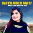 Master Hakim Ali