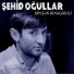 Rövşən Binəqədili