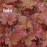 Always Raining