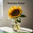 Fa Marcip