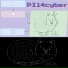 pi14cyber