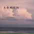 李创新