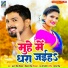 Antra Singh Priyanka, Vikas Singh