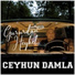 Ceyhun Damla