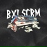 BXLSCRM