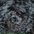 Blaque Trumpet, Lazy Tree Records