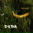 Dida