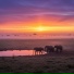 MooMrProducer feat. Deelite