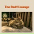 Pets Music