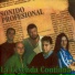 Sonido Profesional