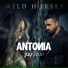 Antonia feat. Jay Sean
