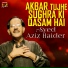 Syed Aziz Haider