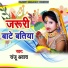 Sanju Awara