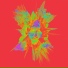 IDN